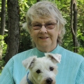 Susan Bulanda’s The Business of Dog Training Earns Spot as DWAA Finalist