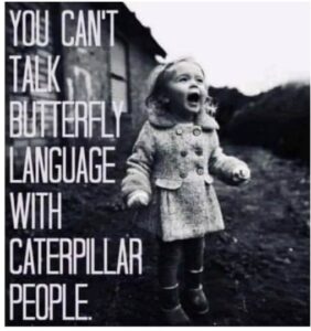 You can't talk butterfly language with caterpillar people.